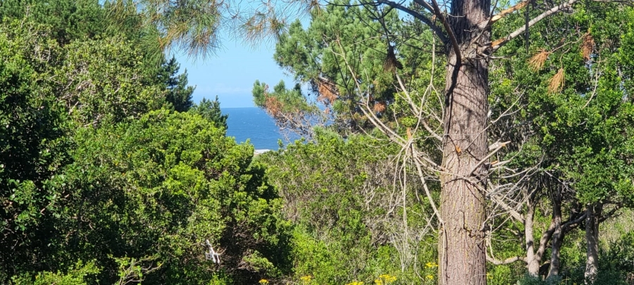 Commercial Property for Sale in Langvlei Dunes Western Cape